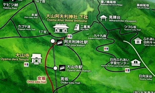 流鼻血身上长疹子-专业流鼻血身上长疹子怎么办平台-流鼻血和身上起小红点怎么回事